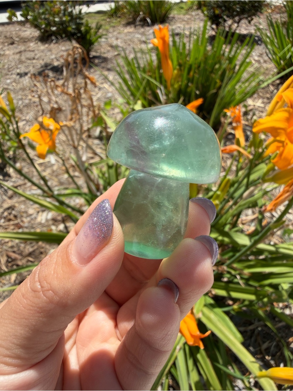 No Perfect On Sale! Small Natural Fluorite Mushroom Carving,A558